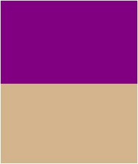 Purple and Tan color combinations.