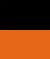Black and orange color combination.
